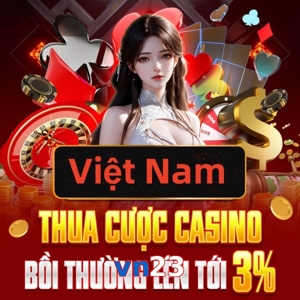 vn23