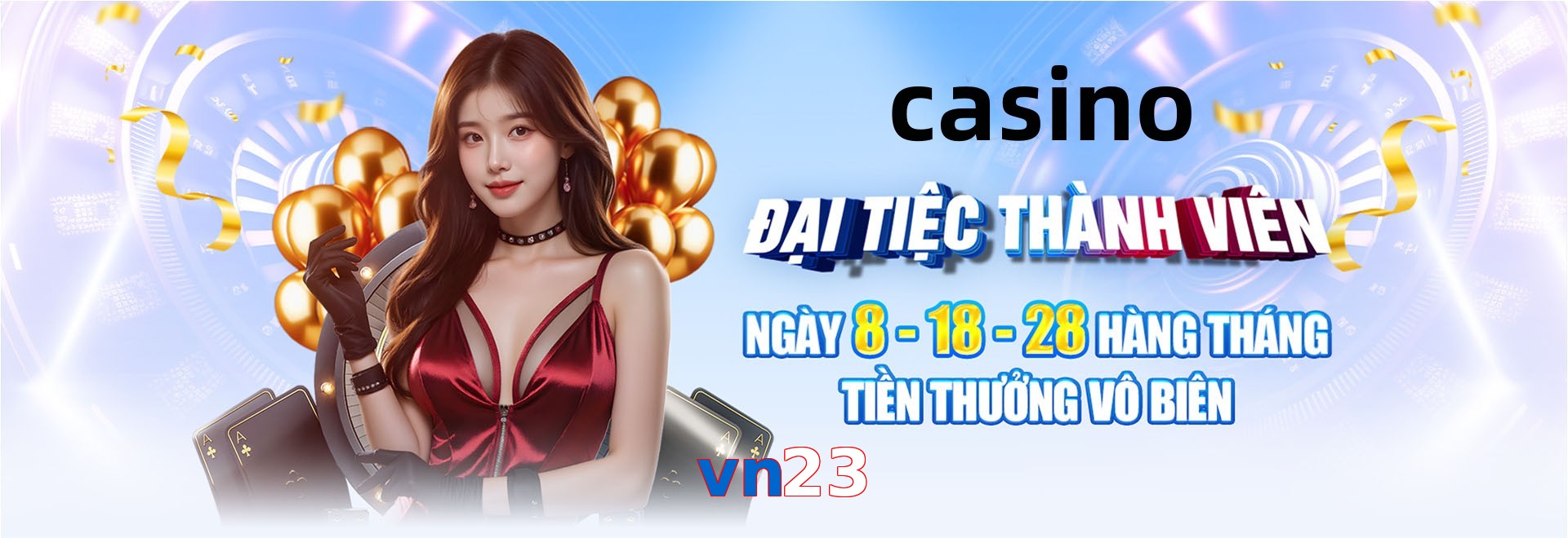 vn23