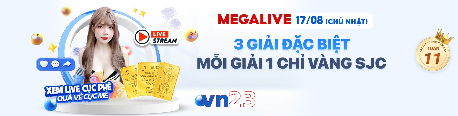vn23