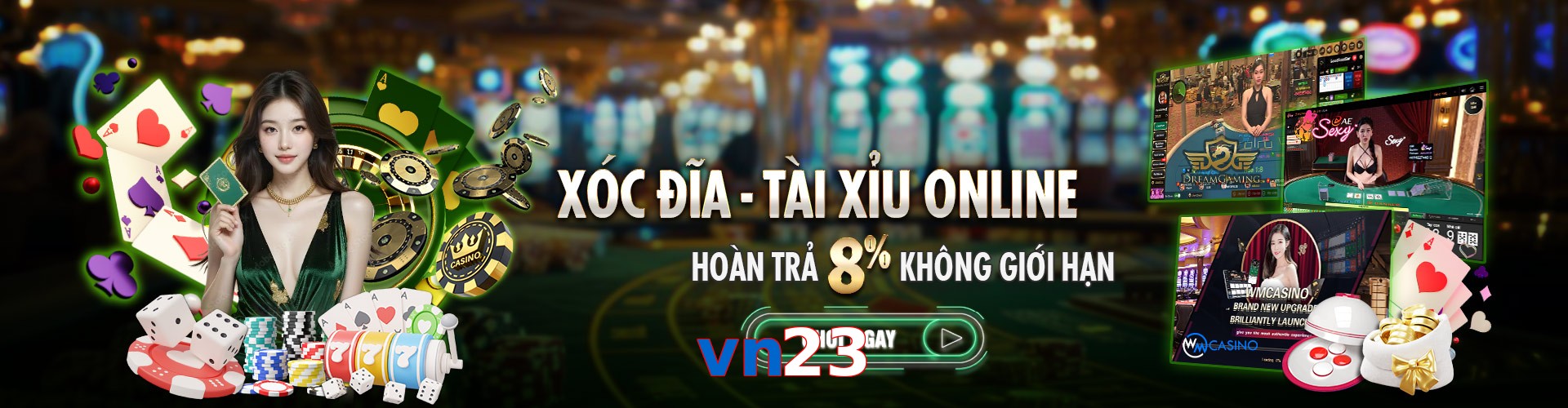 vn23